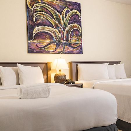 Morrison Hotel San Salvador Exteriör bild